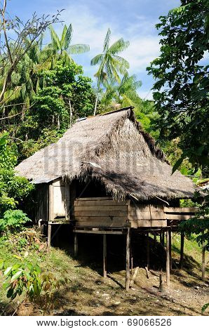 Amazon Indian Tribes In Colombia