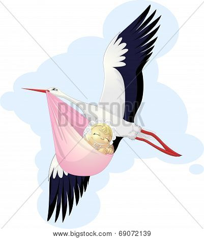 stork