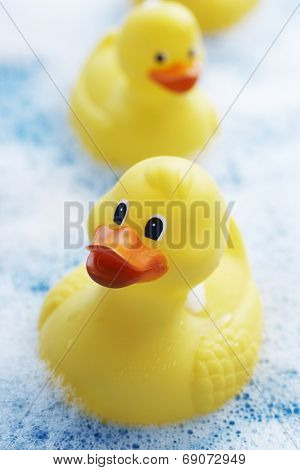 Row of Rubber Ducks in Bubble Bath