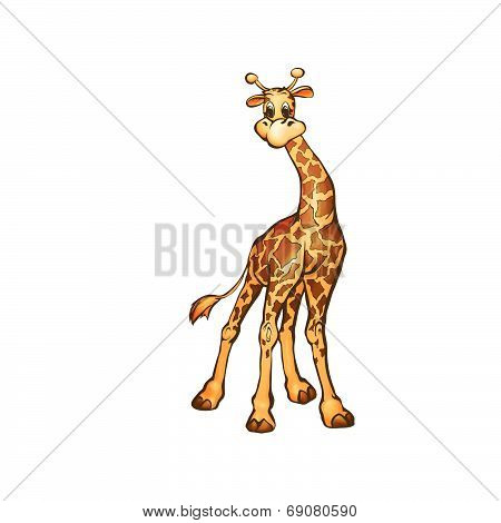 Vector illustration of giraffe in cartoon style