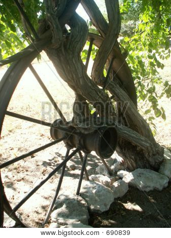 Wagon Wheel