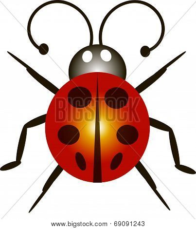 ladybird