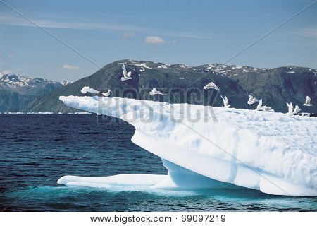 Ice Formation