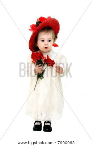 American Beauty