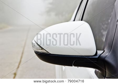 Side Mirror