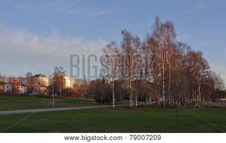 UMEA, SWEDEN ON NOVEMBER 15
