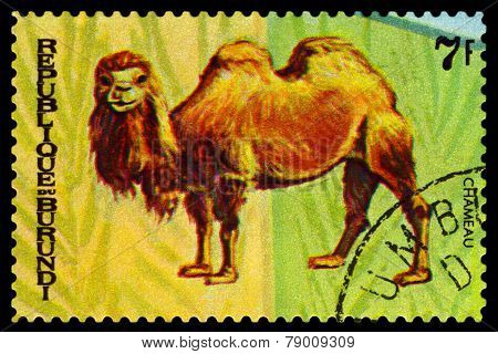 Vintage  Postage Stamp. Animals Burundi, Camel Chamenau. 1.