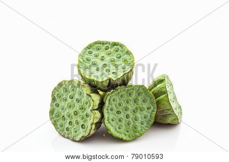 Calyx, Lotus Seeds Green.