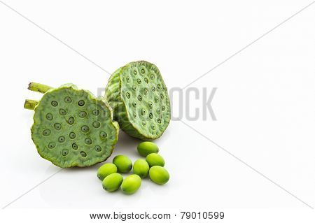 Calyx, Lotus Seeds Green.