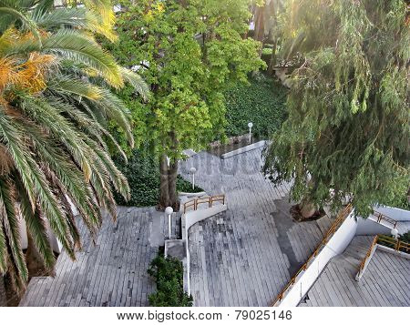 concrete and palm trees