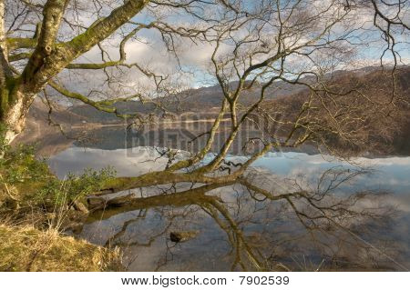 Llyn Dinas สะท้อน