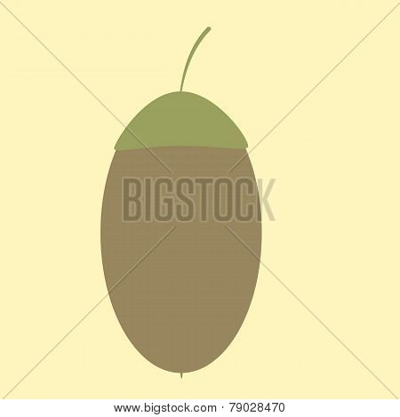 Acorn