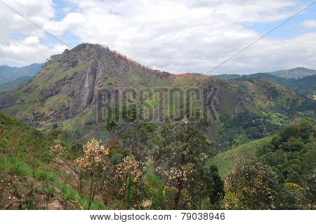 Mountain Scenery In Sri Lanka
