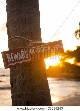 Beware of falling coconuts board on the beach