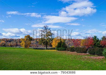 Autumn Field