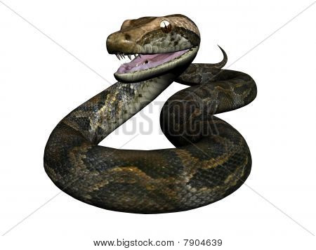 Python