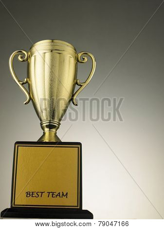 gold trophy for the beast teamwork