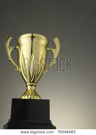 close of the golden trophy