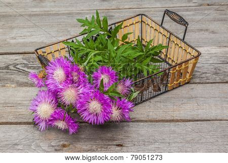 Bouquet Of Purple Cornflowers