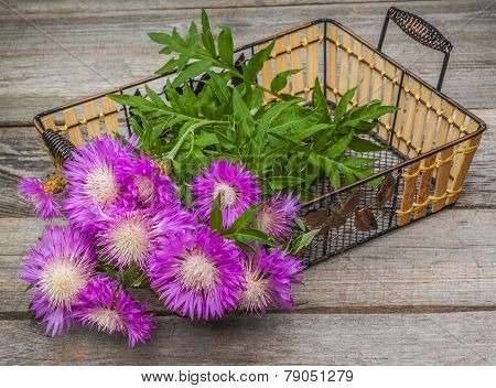 Bouquet Of Purple Cornflowers
