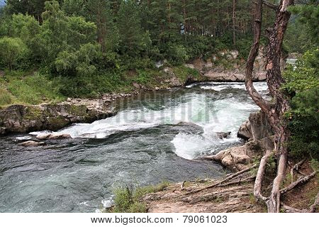 Mountain river of Chemal.
