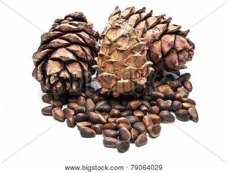 Pine Cones And Nuts.
