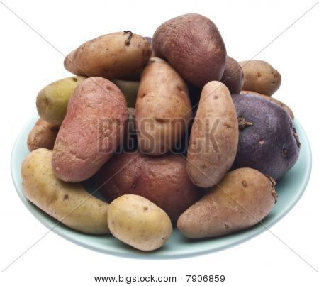 Batatas artesanais de alevinos
