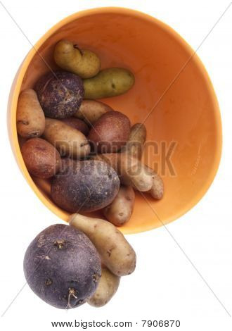Batatas artesanais de alevinos