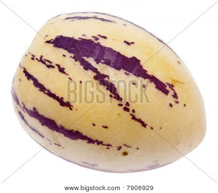 Pepino Melon