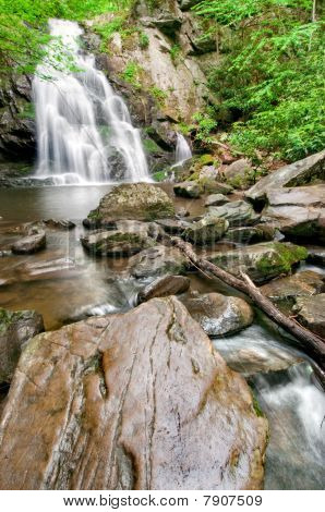Świerk mieszkania Falls