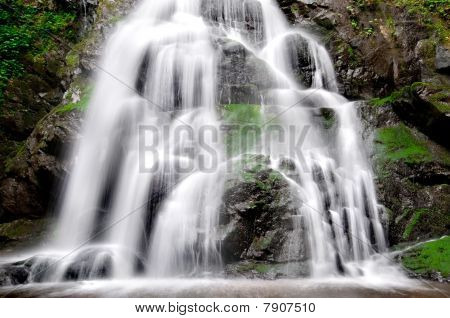 Świerk mieszkania Falls