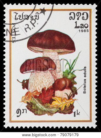 Mushrooms