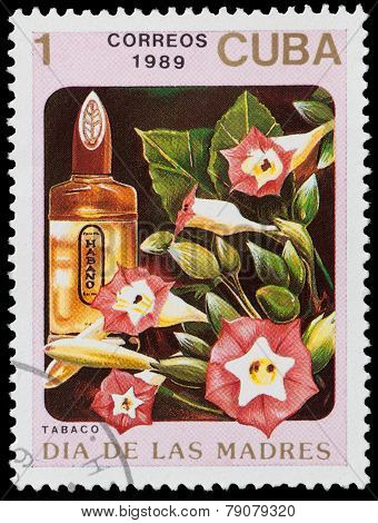 Floral Perfume