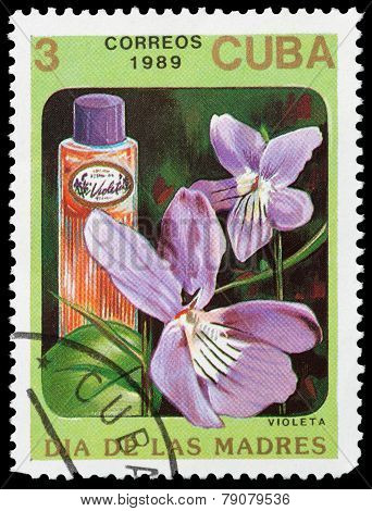 Floral Perfume