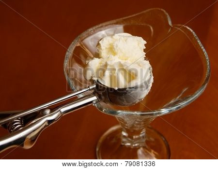 Delicious Fresh Vanilla Ice Cream