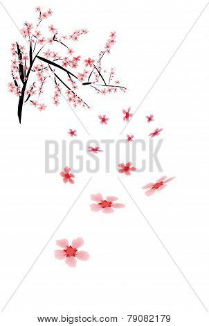 Beautiful Asian Sakura