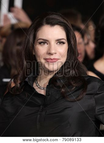 LOS ANGELES - NOV 11:  Stephenie Meyer arrives to the 