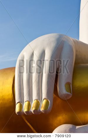 Buda görüntü