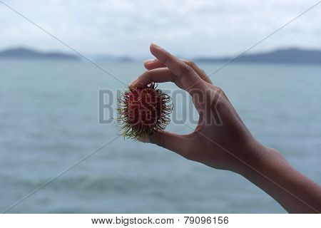 Fruit in front of ocean