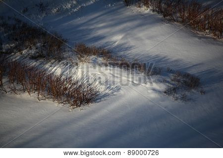 Winter morning