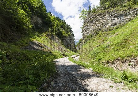 Mountain Ravine