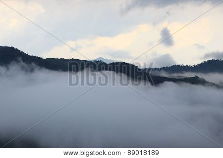 Munnar Raja mala hills