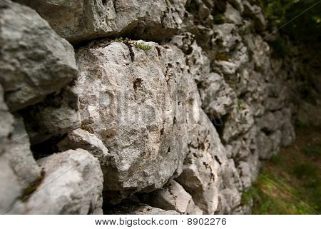 Vieux mur