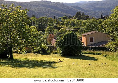 Rural Landscape, Provence, France