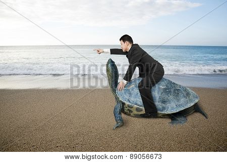 Businessman Riding Turtle And Indicating With Finger At Sand Beach