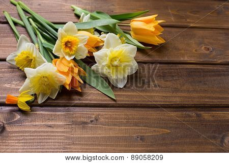 Background With Fresh Tulips And Narcissus
