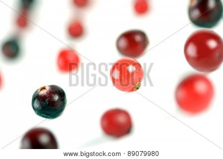 Cranberries on white background - studio shot
