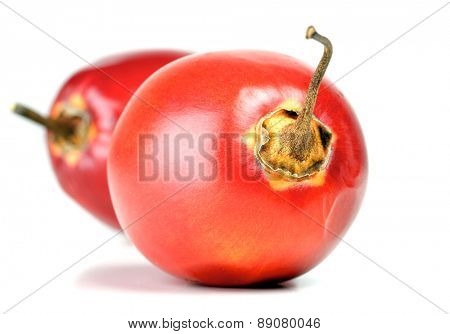 Studio shot of tamarillo fruit