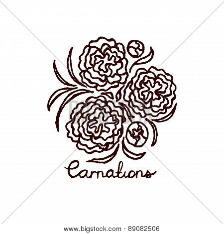 Handsketched bouquet of carnations