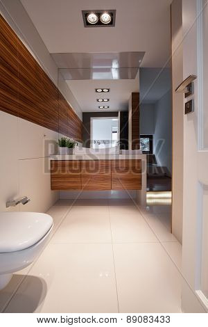 Elegant Clean Toilet Interior